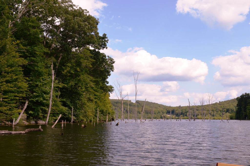 Monksville reservoir, canoe Bushcraft USA Forums